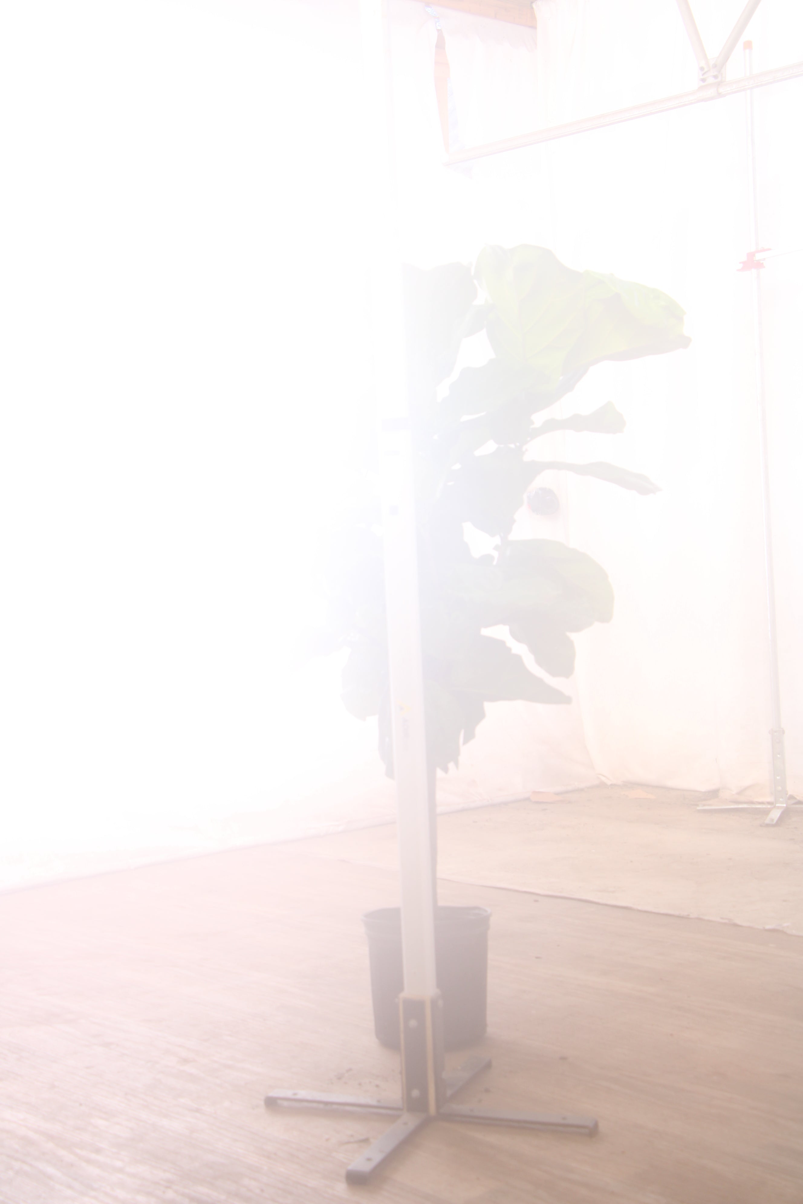 spl|00002