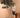 Huge Rubber Tree Std