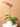 Small Purple Orchid Single Stalk